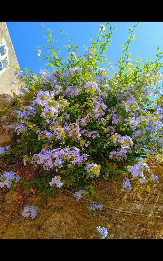 City Walls Sea View Corfu  Εξωτερικό φωτογραφία